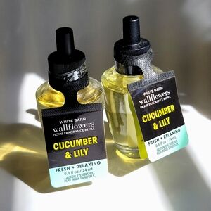 Bath & Body Works Cucumber & Lily Room Diffuser Refills (2)